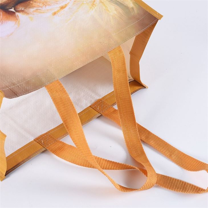 pp-bags07477685099