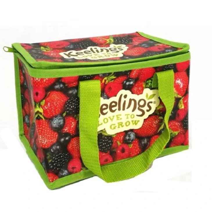 Non Woven Insulated Lunch Shopping Bag