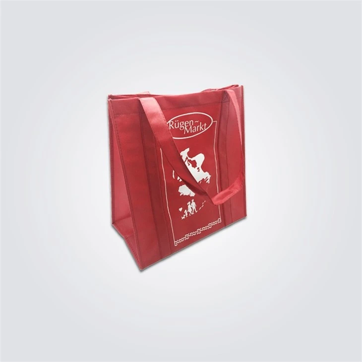 Best PP Non Woven Bag