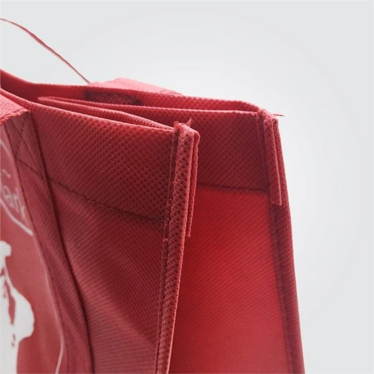 THE Best PP Non Woven BagS