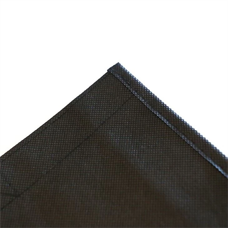 PP Non Woven Promotional Bag