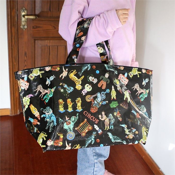 Beautiful Large Pp Woven Boat Zipper Bag
